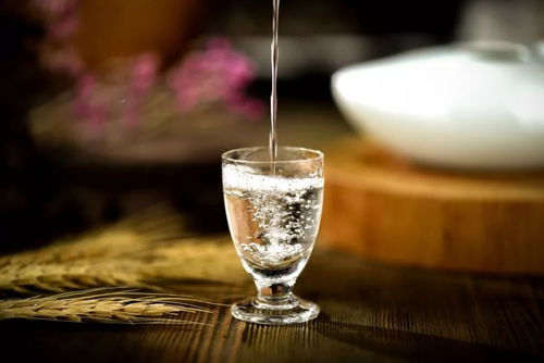 醉酒的六重境界 從微醺到致命，你了解多少？